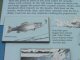 Thumbnail - golden_gate_0050