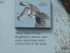 Thumbnail - golden_gate_0091
