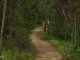 Thumbnail - golden_gate_0149