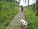 Thumbnail - golden_gate_0154