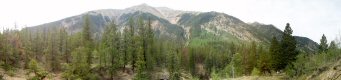 Thumbnail - twin_peaks_0019